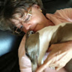 Meet your Posher, Nellie